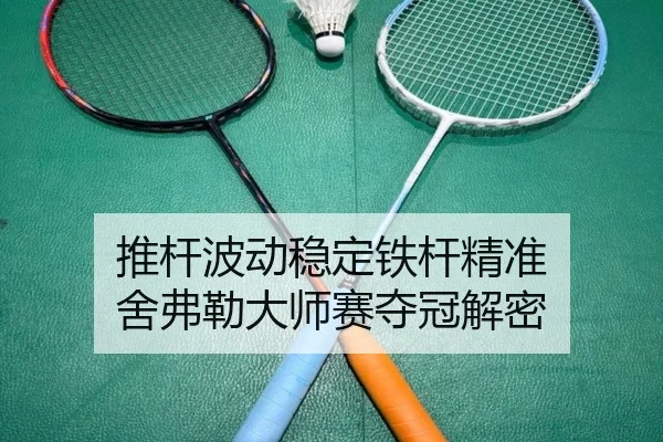 tui-gan-bo-dong-wen-ding-tie-gan-jing-zhun-she-fu-lei-da-shi-sai-duo-guan-jie-mi-2-890.jpg
